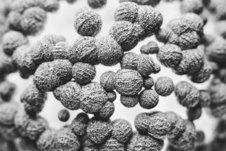 découvrez tout sur les anticorps : leur rôle essentiel dans le système immunitaire, leur production, et leur utilisation en médecine pour combattre les infections et les maladies auto-immunes.