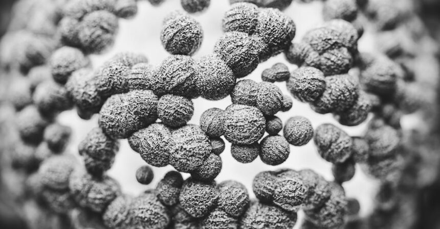 découvrez tout sur les anticorps : leur rôle essentiel dans le système immunitaire, leur production, et leur utilisation en médecine pour combattre les infections et les maladies auto-immunes.