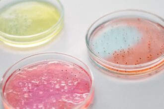 découvrez le monde fascinant des bactéries : ces micro-organismes essentiels à la vie sur terre, leur rôle dans l'écosystème, leur utilisation en biotechnologie et leur impact sur la santé humaine.