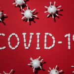 découvrez les différentes maladies bactériennes, leurs causes, symptômes et traitements. informez-vous sur la prévention et les impacts de ces infections sur la santé humaine et animale.