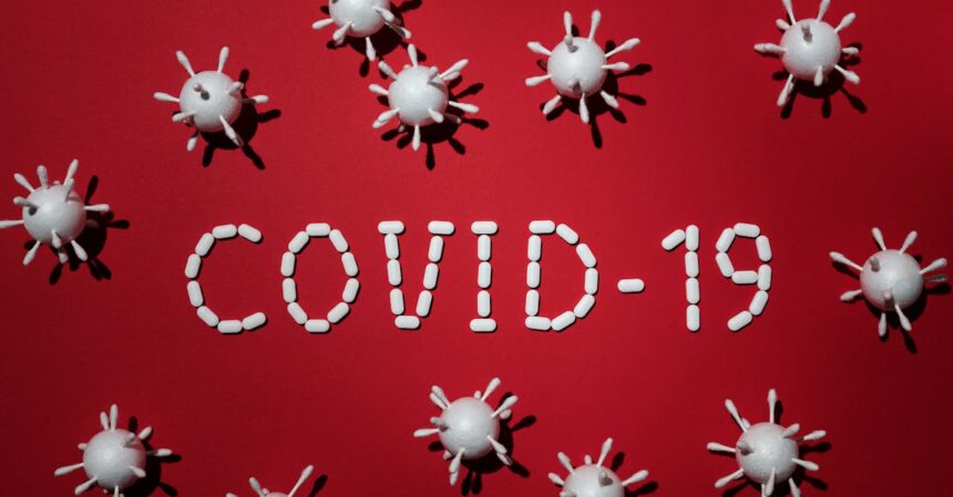découvrez les différentes maladies bactériennes, leurs causes, symptômes et traitements. informez-vous sur la prévention et les impacts de ces infections sur la santé humaine et animale.