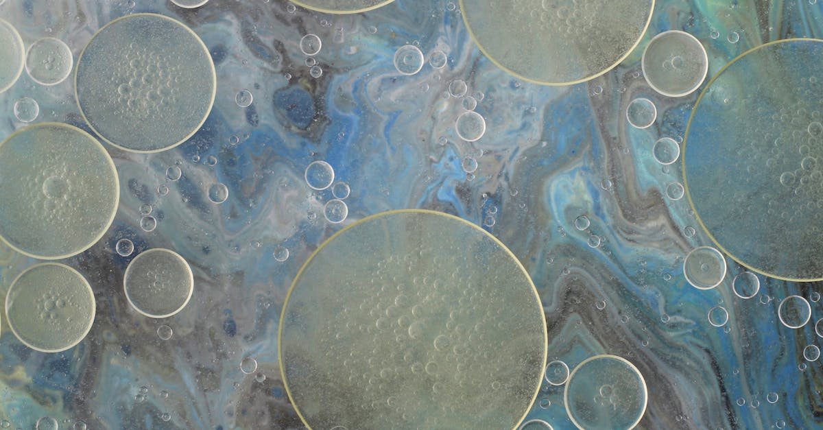 découvrez tout sur les infections bactériennes : causes, symptômes, traitements et conseils de prévention pour maintenir votre santé au quotidien.