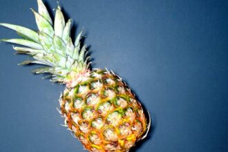 découvrez la bromélaïne, une enzyme naturelle extraite de l'ananas, réputée pour ses multiples bienfaits sur la digestion, l'inflammation et la santé en général. explorez ses applications thérapeutiques et comment elle peut améliorer votre bien-être au quotidien.