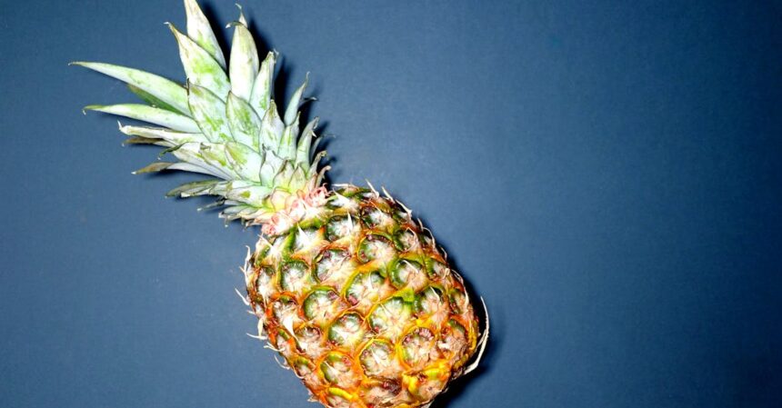 découvrez la bromélaïne, une enzyme naturelle extraite de l'ananas, réputée pour ses multiples bienfaits sur la digestion, l'inflammation et la santé en général. explorez ses applications thérapeutiques et comment elle peut améliorer votre bien-être au quotidien.