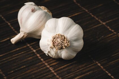 découvrez les multiples bienfaits du clou de girofle, une épice aux arômes envoûtants, utilisée en cuisine et en médecine traditionnelle pour ses propriétés antiseptiques, anti-inflammatoires et antioxydantes. explorez son histoire, ses usages variés et des recettes savoureuses pour rehausser vos plats.