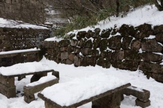 découvrez tout sur les herpès labiaux : causes, symptômes, traitements et conseils pour soulager les épidémies. informez-vous sur les meilleures pratiques pour prévenir les poussées et gérer l'inconfort associé.