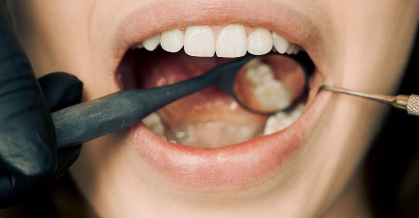 découvrez dental fever, le rendez-vous incontournable pour tous vos besoins dentaires. profitez de conseils d'experts en santé bucco-dentaire, d'astuces pour un sourire éclatant et des solutions innovantes pour améliorer votre hygiène dentaire. prenez soin de votre sourire dès aujourd'hui!
