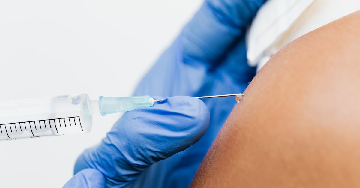 découvrez les meilleures stratégies de prévention des maladies pour améliorer votre santé et bien-être. informez-vous sur les habitudes de vie, les vaccinations et les contrôles médicaux essentiels pour prévenir les maladies courantes et maintenir une vie saine.
