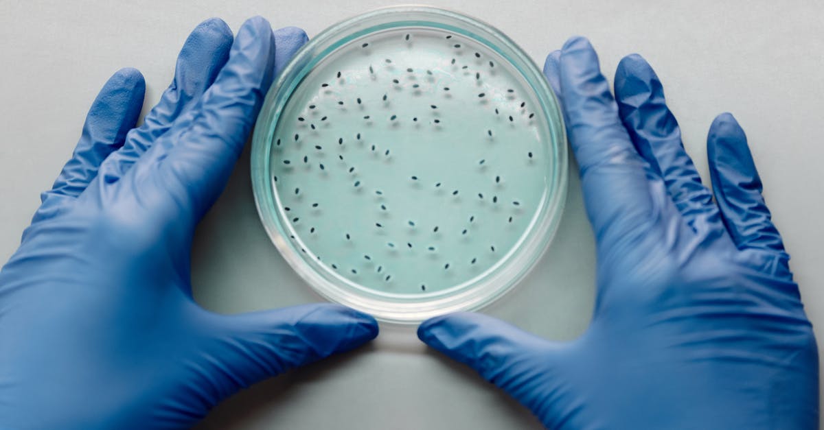 découvrez les différentes méthodes de désinfection pour assurer un environnement sain et protéger votre santé. explorez les techniques, des produits chimiques aux solutions naturelles, adaptées à divers besoins et espaces.