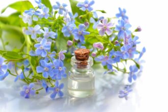 découvrez les bienfaits des huiles essentielles pour votre bien-être au quotidien. apprenez à les utiliser pour apaiser l'esprit, revitaliser le corps et améliorer votre santé naturelle.