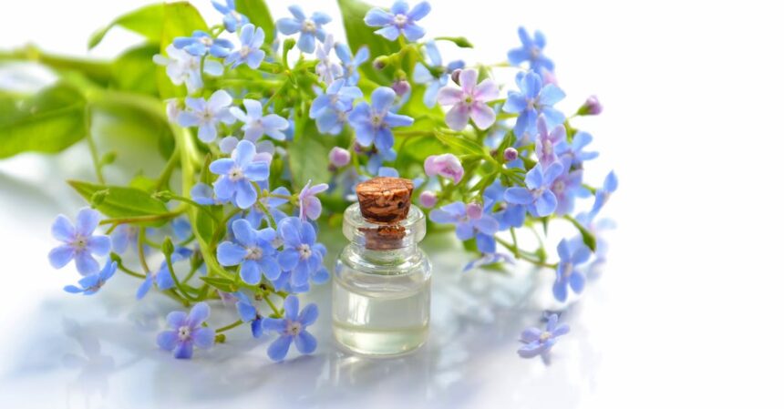 découvrez les bienfaits des huiles essentielles pour votre bien-être au quotidien. apprenez à les utiliser pour apaiser l'esprit, revitaliser le corps et améliorer votre santé naturelle.