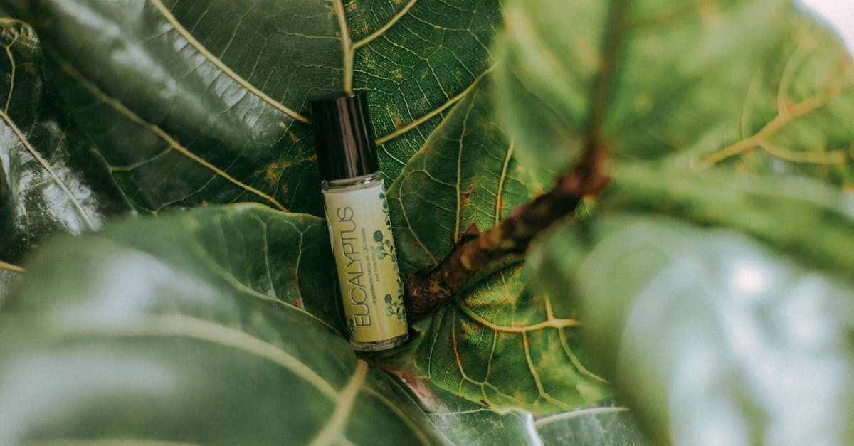 découvrez les bienfaits des huiles essentielles, des extraits naturels aux propriétés variées pour améliorer votre bien-être au quotidien. explorez les utilisations, les recettes et les conseils pour intégrer ces élixirs vitaux dans votre routine de beauté et de santé.