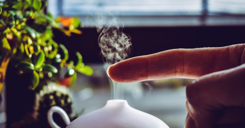 découvrez l'univers des huiles essentielles : leurs bienfaits, utilisations et astuces pour améliorer votre bien-être au quotidien. plongez dans un monde aromatique naturel et sain.