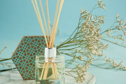 découvrez notre sélection de diffuseurs d'huiles essentielles, idéaux pour créer une ambiance apaisante et purifiante dans votre intérieur. profitez des bienfaits aromatiques tout en embellissant votre espace.