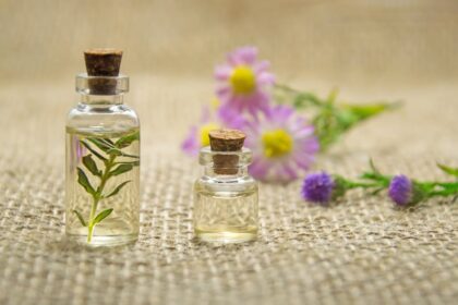 découvrez les bienfaits des huiles essentielles : des solutions naturelles pour le bien-être, la relaxation et l'aromathérapie. explorez notre sélection d'huiles 100% pures et apprenez à les utiliser au quotidien.