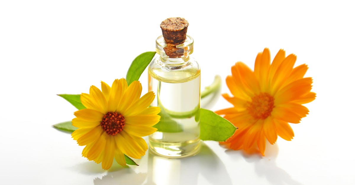 découvrez les bienfaits des huiles essentielles pour votre bien-être au quotidien. apprenez à les utiliser pour soulager le stress, améliorer votre humeur et promouvoir la santé naturelle. explorez notre sélection d’huiles de qualité pour une expérience aromatique unique.