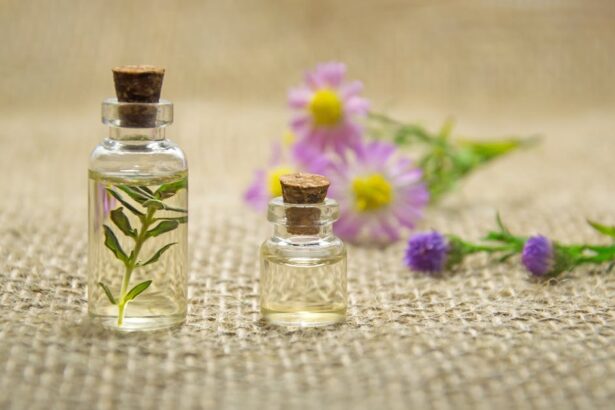 découvrez les bienfaits des huiles essentielles : des solutions naturelles pour votre bien-être physique et mental. explorez nos conseils d'utilisation, recettes et bienfaits des huiles essentielles pour harmoniser votre vie au quotidien.