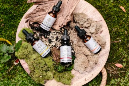 découvrez les bienfaits des huiles essentielles : des solutions naturelles pour le bien-être, la santé et la beauté. plongez dans un monde d'arômes apaisants et d'effets thérapeutiques.