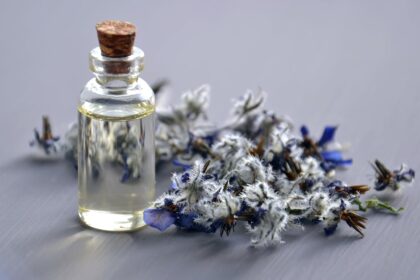 découvrez les bienfaits des huiles essentielles, leurs propriétés aromatiques et leurs utilisations variées pour améliorer votre bien-être au quotidien. apprenez à les intégrer dans votre routine de santé et de beauté.
