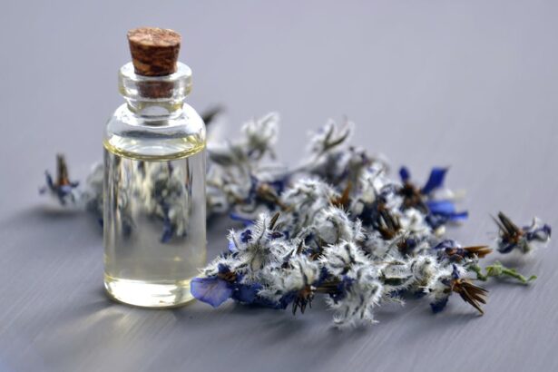 découvrez les bienfaits des huiles essentielles pour votre bien-être au quotidien. explorez nos conseils d'utilisation, recettes et propriétés des huiles pour une vie saine et équilibrée.
