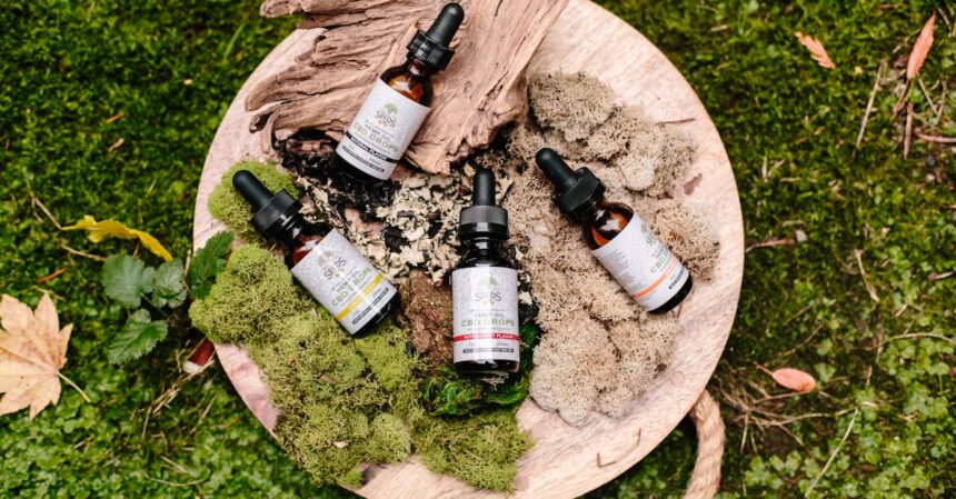 découvrez les bienfaits des huiles essentielles : des solutions naturelles pour le bien-être, la santé et la beauté. plongez dans un monde d'arômes apaisants et d'effets thérapeutiques.