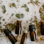 découvrez les bienfaits de l'eucalyptus pour la santé, des propriétés anti-inflammatoires aux effets apaisants sur le système respiratoire. plongez dans les vertus de cette plante aux multiples usages, idéale pour améliorer votre bien-être au quotidien.