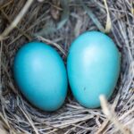 découvrez des conseils et des informations sur la fertilité pour vous aider à concevoir. explorez les facteurs influençant la fertilité, les traitements disponibles et les moyens naturels d'optimiser vos chances de grossesse.