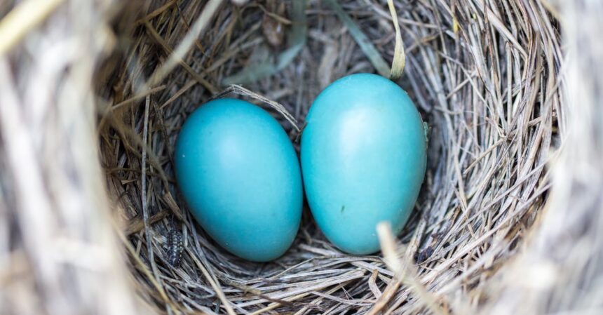 découvrez des conseils et des informations sur la fertilité pour vous aider à concevoir. explorez les facteurs influençant la fertilité, les traitements disponibles et les moyens naturels d'optimiser vos chances de grossesse.