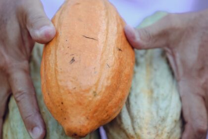 découvrez tout ce qu'il faut savoir sur les intolérances alimentaires : symptômes, effets sur la santé, conseils pratiques et solutions pour adapter votre alimentation sans compromettre votre bien-être.