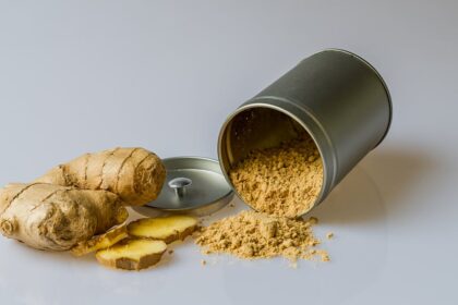 découvrez les multiples bienfaits du gingembre, cette racine aux propriétés antioxydantes et anti-inflammatoires. apprenez à l'intégrer dans vos recettes pour profiter de ses vertus santé et rehausser la saveur de vos plats.