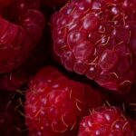 découvrez les nombreux bienfaits pour la santé qui influencent votre bien-être physique et mental. apprenez comment une alimentation équilibrée, l'exercice régulier et un mode de vie sain peuvent améliorer votre qualité de vie au quotidien.