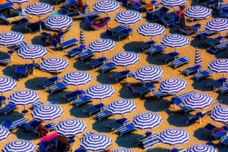 découvrez tout sur la chaleur : ses effets, ses applications dans la vie quotidienne et son importance dans le climat. apprenez comment gérer la chaleur pour votre bien-être et votre confort.