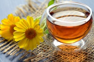 découvrez les bienfaits des tisanes naturelles avec notre sélection de thés aux herbes. savourez des mélanges apaisants et revitalisants pour votre bien-être au quotidien.