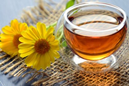 découvrez les bienfaits des tisanes naturelles avec notre sélection de thés aux herbes. savourez des mélanges apaisants et revitalisants pour votre bien-être au quotidien.