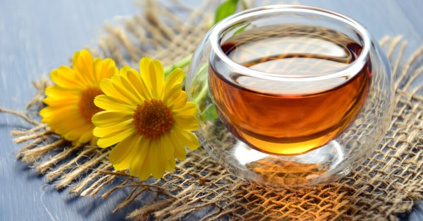 découvrez les bienfaits des tisanes naturelles avec notre sélection de thés aux herbes. savourez des mélanges apaisants et revitalisants pour votre bien-être au quotidien.