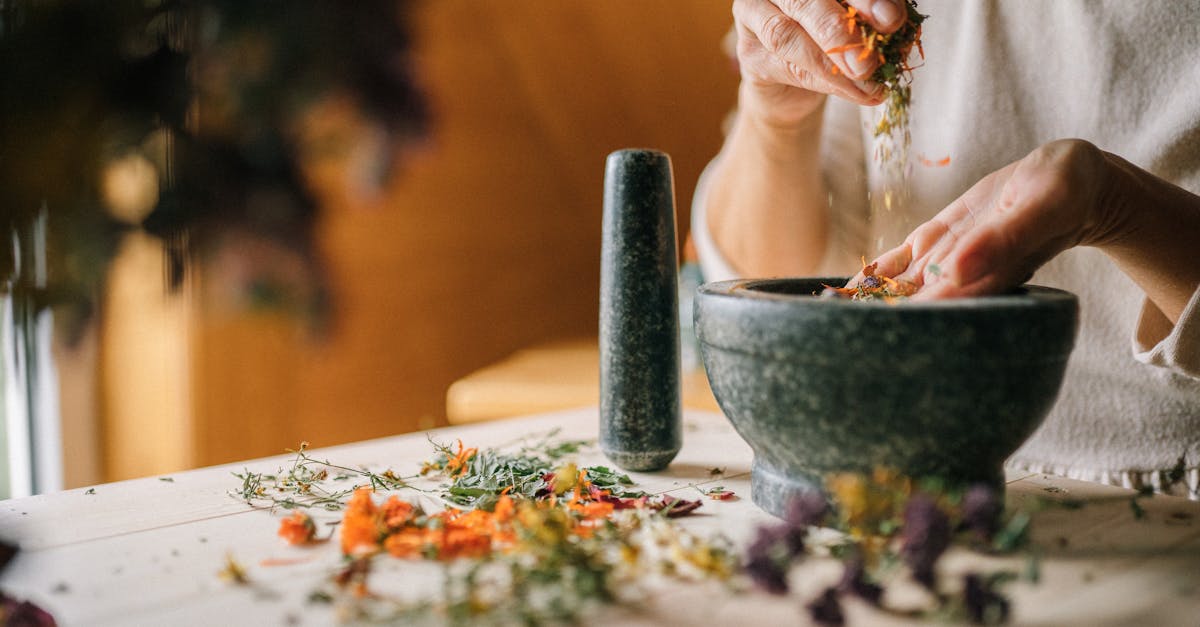 dĂ©couvrez l'univers apaisant des tisanes Ă base de plantes. profitez des bienfaits naturels des herbes pour votre santĂ© et votre bien-ĂȘtre. explorez notre sĂ©lection de mĂ©langes savoureux et rĂ©confortants pour chaque moment de la journĂ©e.