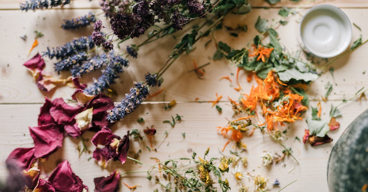 découvrez l'homéopathie, une approche naturelle et douce de la santé, qui vise à soigner le corps et l'esprit grâce à des remèdes dilués. explorez ses principes, ses bienfaits et des conseils pratiques pour intégrer l'homéopathie dans votre quotidien.