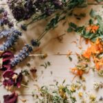 découvrez les bienfaits de l'homéopathie, une approche thérapeutique douce et naturelle qui vise à stimuler les mécanismes de guérison de l'organisme. explorez ses principes fondamentaux, ses applications et apprenez comment l'homéopathie peut vous aider à améliorer votre bien-être au quotidien.