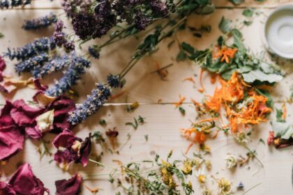 découvrez les bienfaits de l'homéopathie, une approche thérapeutique douce et naturelle qui vise à stimuler les mécanismes de guérison de l'organisme. explorez ses principes fondamentaux, ses applications et apprenez comment l'homéopathie peut vous aider à améliorer votre bien-être au quotidien.