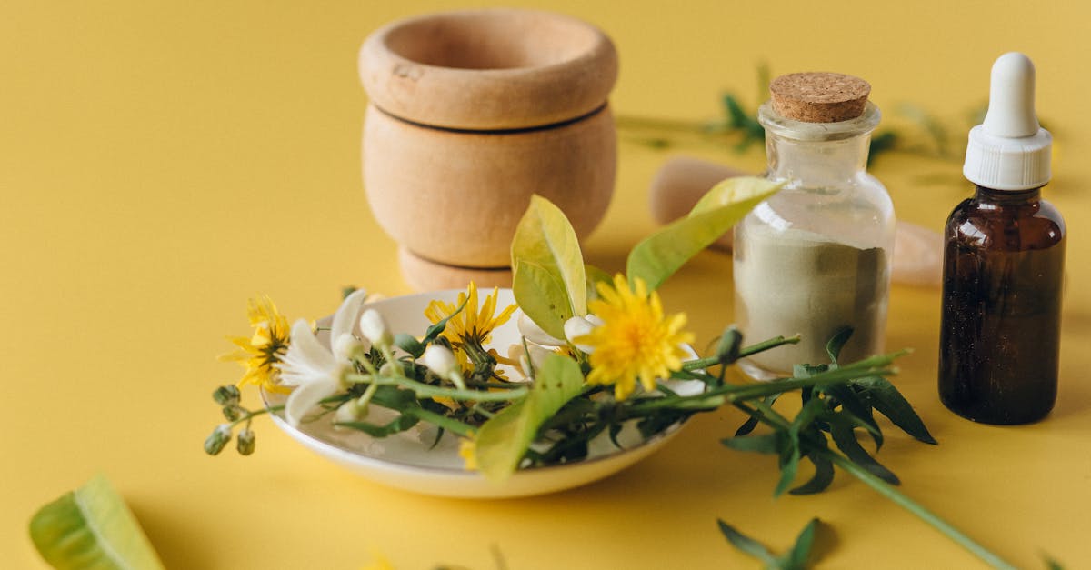 découvrez l'homéopathie, une approche douce et naturelle pour traiter divers maux. explorez ses bienfaits, principes et remèdes pour une santé optimale.
