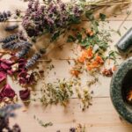 découvrez l'homéopathie, une approche douce et naturelle pour traiter divers maux. explorez les bienfaits de ce système de santé alternatif, basé sur le principe de la similitude et personnalisé pour votre bien-être. apprenez comment l'homéopathie peut renforcer votre santé et améliorer votre qualité de vie.