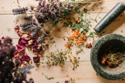 découvrez l'homéopathie, une approche douce et naturelle pour traiter divers maux. explorez les bienfaits de ce système de santé alternatif, basé sur le principe de la similitude et personnalisé pour votre bien-être. apprenez comment l'homéopathie peut renforcer votre santé et améliorer votre qualité de vie.