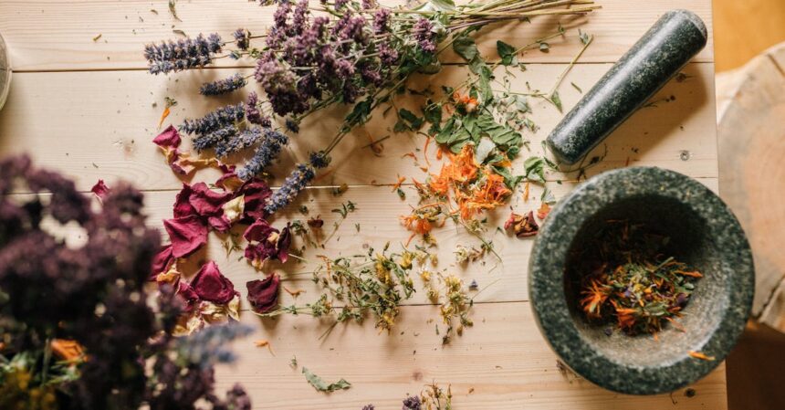 découvrez l'homéopathie, une approche douce et naturelle pour traiter divers maux. explorez les bienfaits de ce système de santé alternatif, basé sur le principe de la similitude et personnalisé pour votre bien-être. apprenez comment l'homéopathie peut renforcer votre santé et améliorer votre qualité de vie.