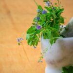 découvrez l'homéopathie, une approche douce et naturelle pour traiter divers maux, en stimulant les capacités d'auto-guérison de l'organisme. apprenez comment ces remèdes à base de substances diluées peuvent améliorer votre bien-être au quotidien.