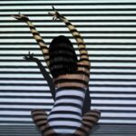 découvrez le pouvoir de l'hypnose pour transformer votre vie. que ce soit pour surmonter le stress, améliorer votre confiance en vous ou gérer vos habitudes, l'hypnose vous ouvre les portes d'un bien-être durable. explorez nos techniques et séances personnalisées pour un accompagnement unique et efficace.
