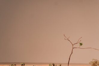 découvrez les causes et les solutions à l'infertilité. explorez des conseils, des traitements et des témoignages pour surmonter les défis de la conception et prendre le contrôle de votre fertilité.