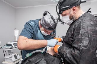 découvrez l'importance des soins intensifs, un domaine crucial de la médecine qui offre des traitements avancés et une surveillance constante pour les patients gravement malades. apprenez comment ces unités spécialisées jouent un rôle vital dans la récupération des patients en situation critique.