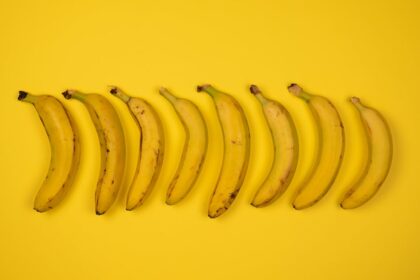 découvrez les bienfaits du magnésium pour votre santé. apprenez comment cet élément essentiel peut améliorer votre bien-être, réduire le stress et favoriser une meilleure qualité de vie. explorez nos conseils sur les sources alimentaires et les compléments de magnésium.