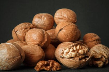 découvrez les bienfaits du magnésium pour votre santé et votre bien-être. apprenez comment cet minéral essentiel contribue à la réduction du stress, à l'amélioration de la qualité du sommeil et à la régulation du métabolisme. informez-vous sur les sources alimentaires et les suppléments disponibles pour optimiser votre apport en magnésium.