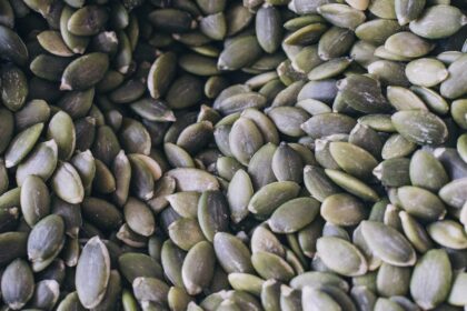 découvrez les bienfaits du magnésium pour votre santé : un minéral essentiel qui aide à réduire le stress, améliorer le sommeil et renforcer les muscles. apprenez comment intégrer le magnésium dans votre alimentation quotidienne pour un bien-être optimal.
